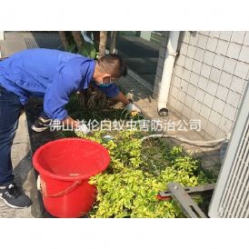 云东海厂区灭鼠工程