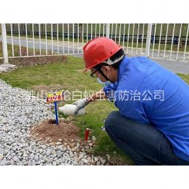 松岗红火蚁防治工程